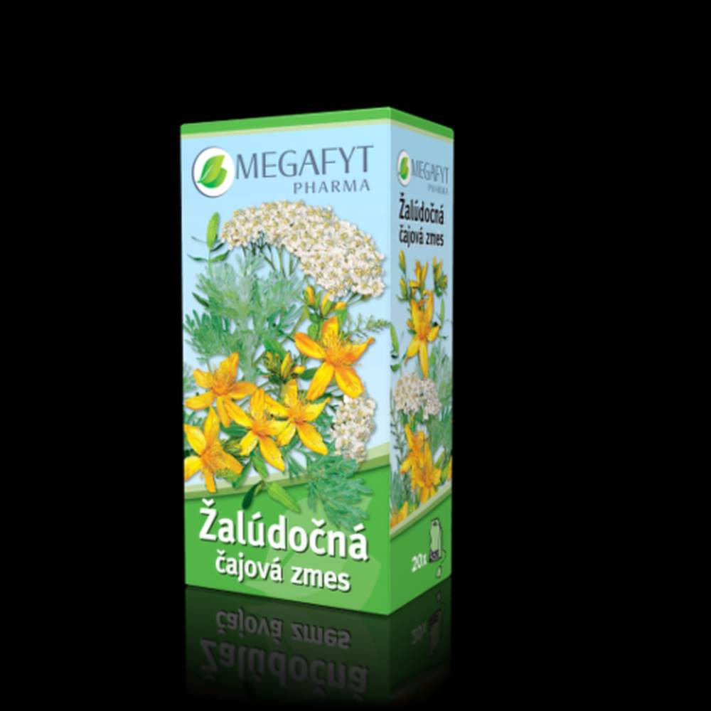 Megafyt MEGAFYT Žalúdočná čajová zmes 20 x 1,5 g