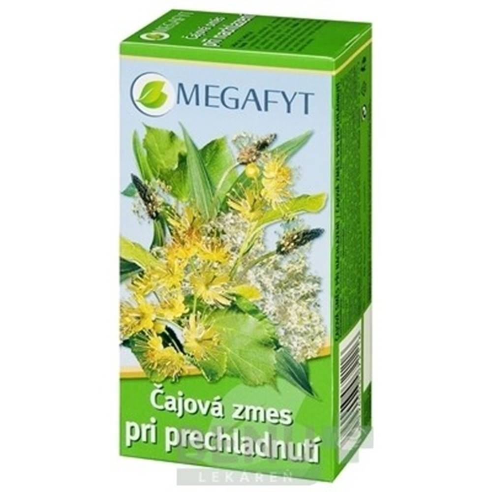 Megafyt-R, s. r. o., Vrane nad Vltavou MEGAFYT Čajová zmes pri prechladnutí 20 x 1,5 g
