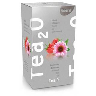 BIOGENA Tea2O jahoda & echinacea 20x2,3 g
